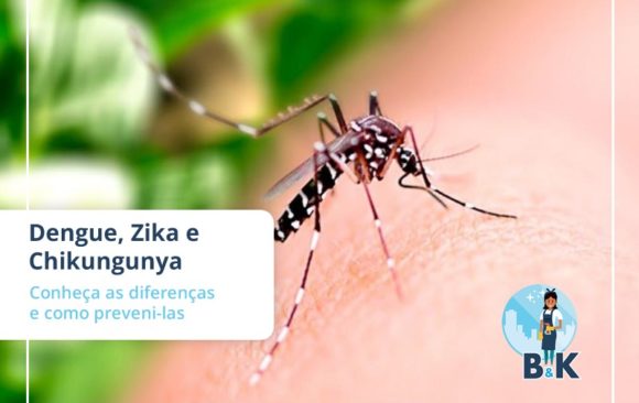 Dengue, Zika e Chikungunya – Conheça as diferenças e como preveni-las