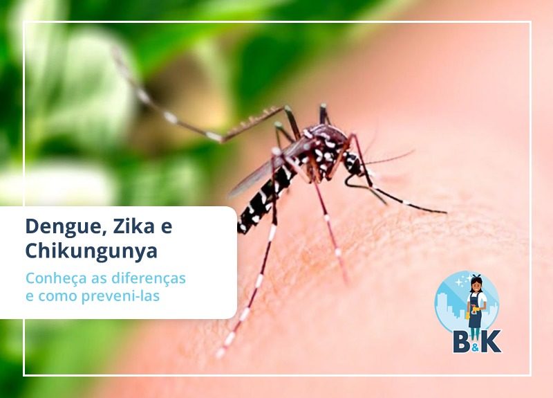 Dengue, Zika e Chikungunya – Conheça as diferenças e como preveni-las